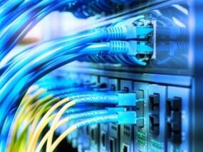 杏彩娱乐平台官网1950介绍